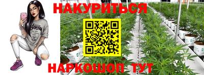 прущая мука Будённовск