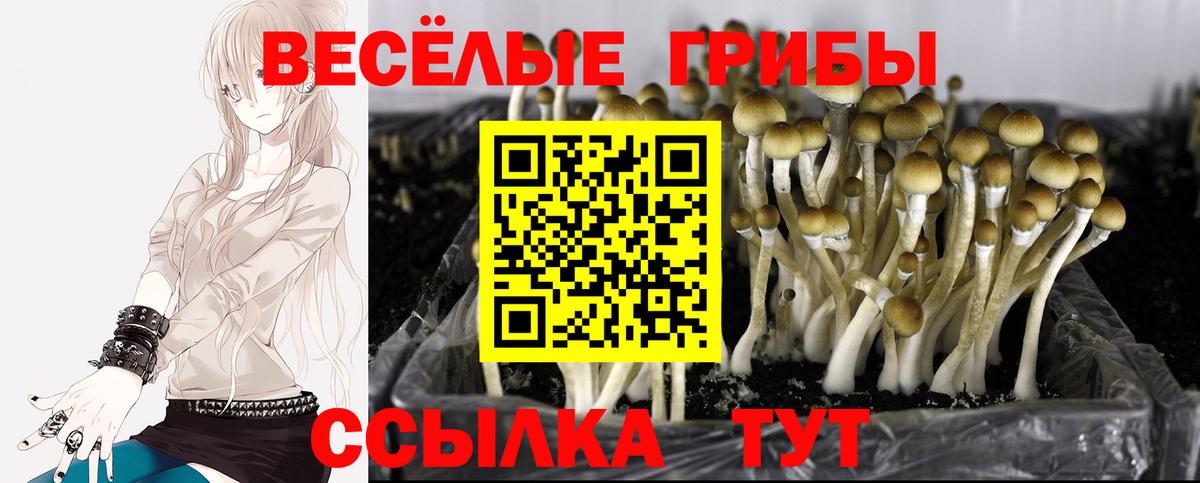 Псилоцибиновые грибы ЛСД Людиново