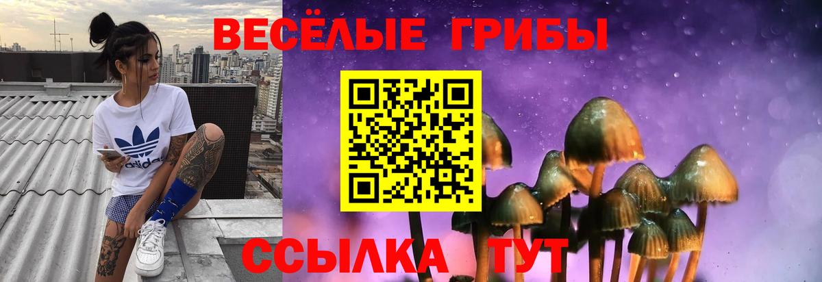 Псилоцибиновые грибы Psilocybe  Вход с VPN  Людиново 